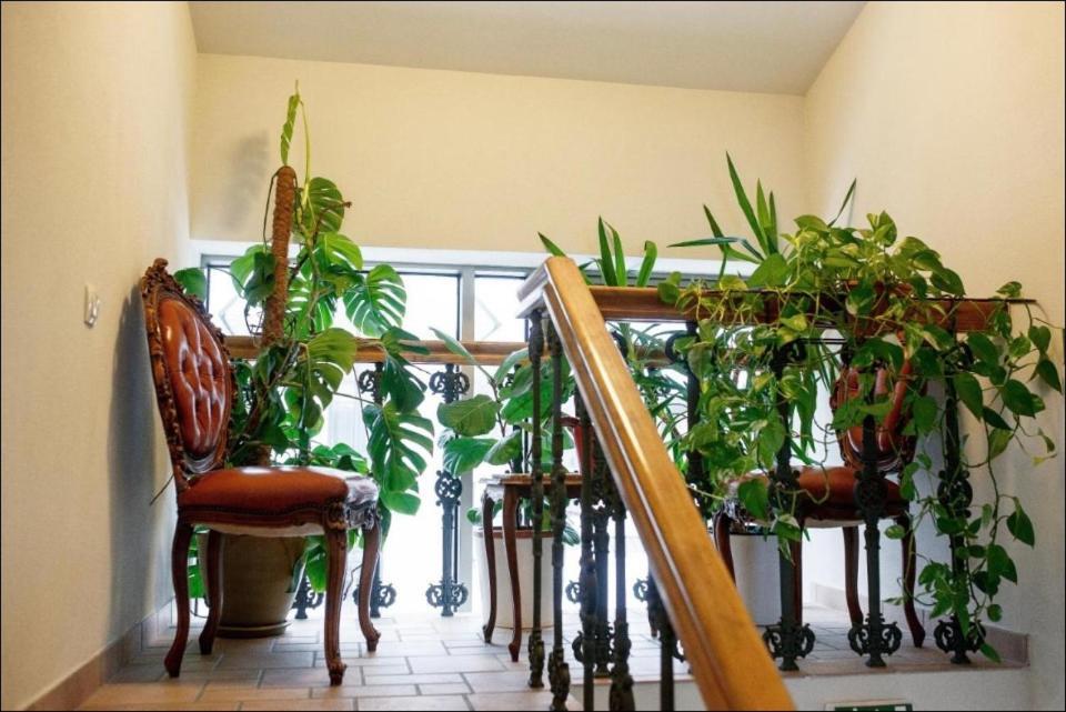 Apartment Senamiescio Inkaras Klaipėda Extérieur photo